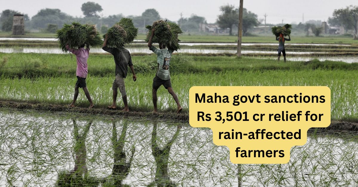 crop insurance scheme