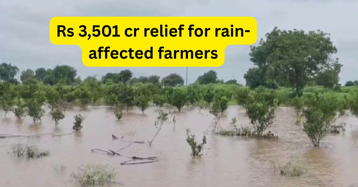 crop insurance